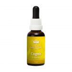 Cognis Remedy Drops