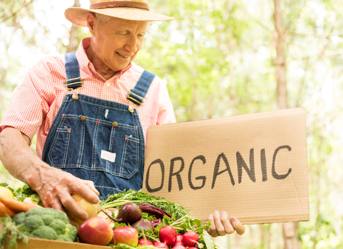 Reasons To Eat Organic Persistent Pesticides